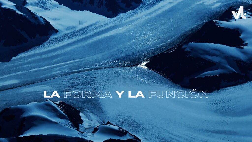 La Forma y la Función