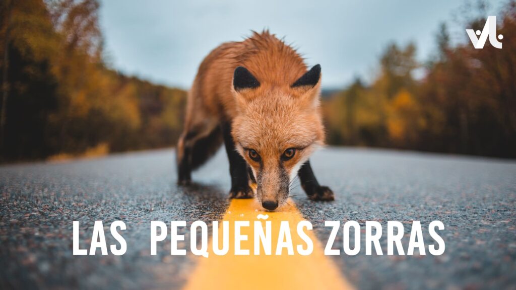 Las Pequeñas Zorras