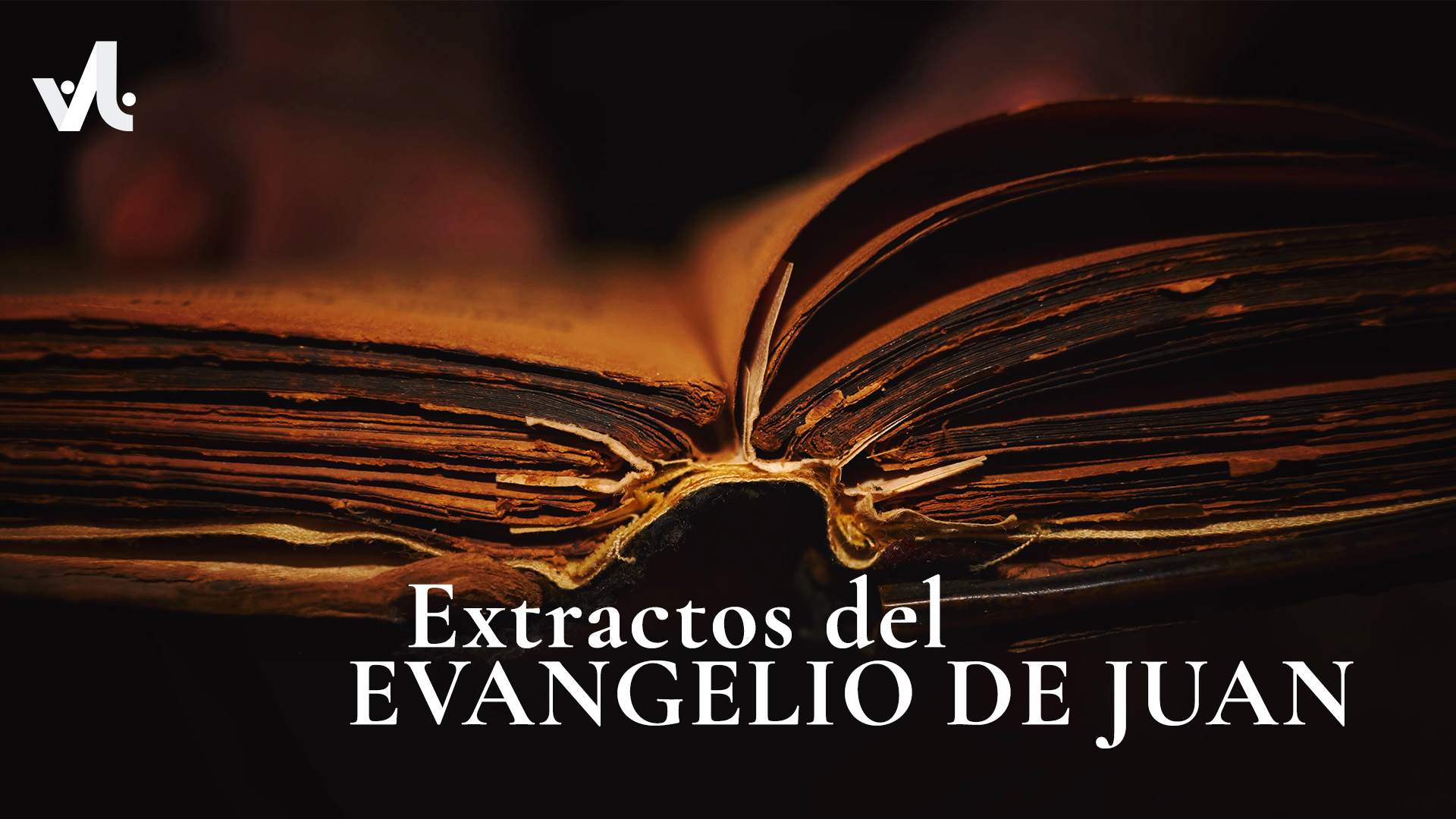 Extractos del Evangelio de Juan
