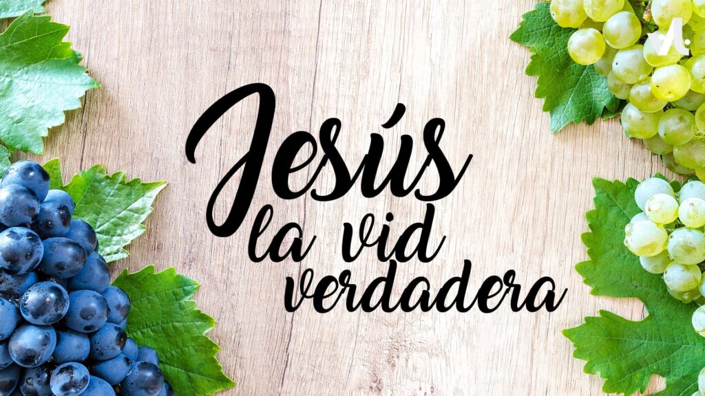 Jesús, la Vid Verdadera